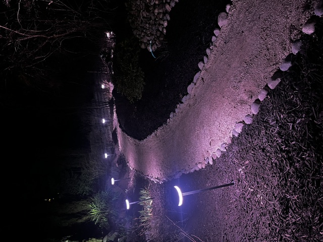 Landscape uplighting